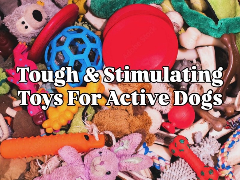 Tough and Stimulating Toys for Active&nbsp;Dogs