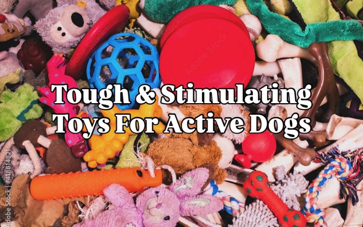Tough and Stimulating Toys for Active Dogs